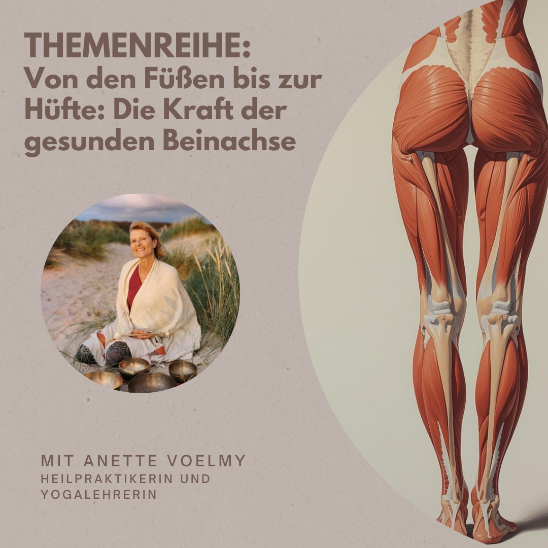 „Von den Füßen bis zur Hüfte Die Kraft der gesunden Beinachse“