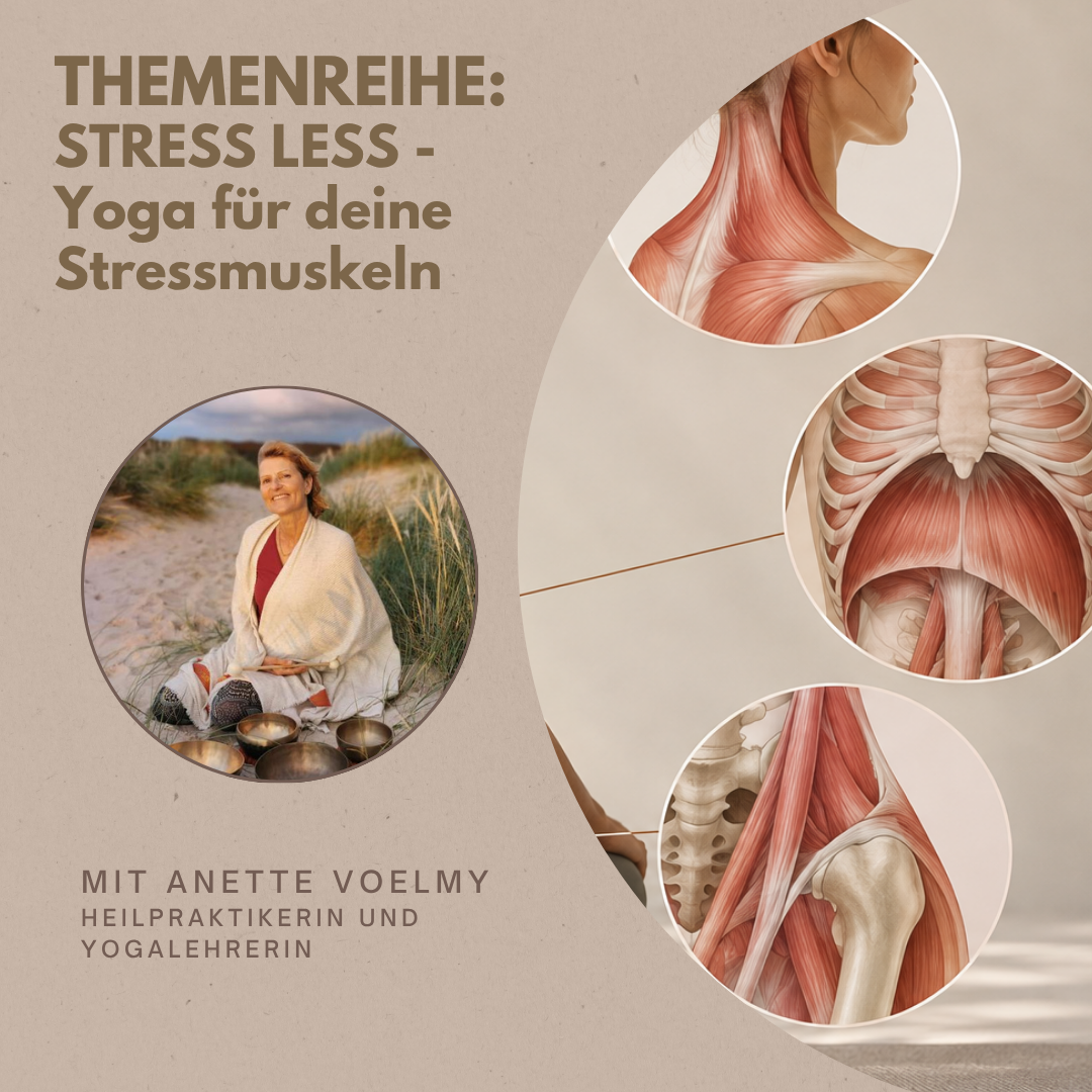„STRESS LESS – Yoga für deine Stressmuskeln“
